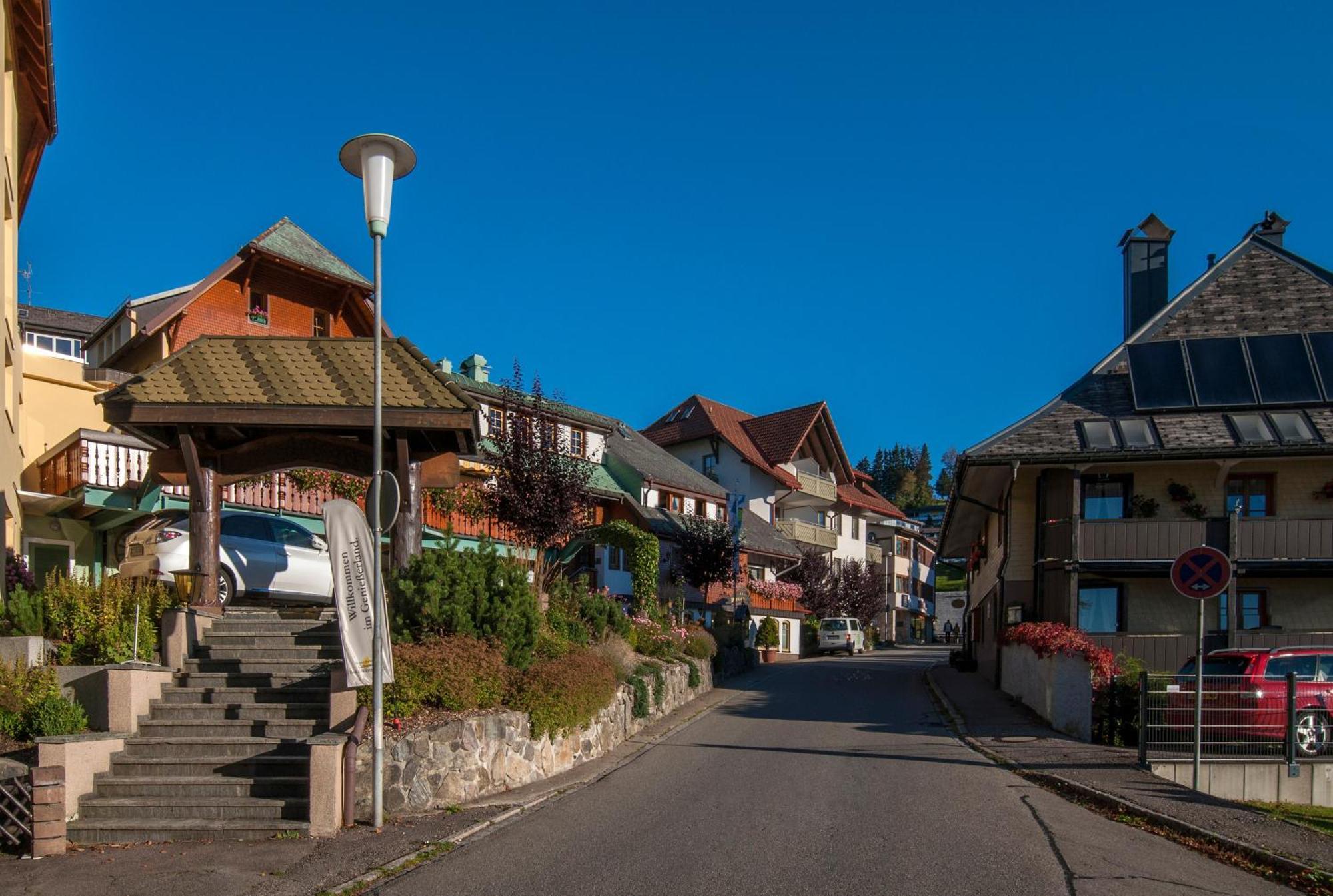 Apartment 06 - Ferienresidenz Roseneck, 2 Schlafzimmer, Mit Schwimmbad In Todtnauberg Bei Feldberg Exterior foto